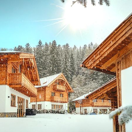 Luxury Chalets Gradenbach Near Schladming Haus im Ennstal Exterior photo